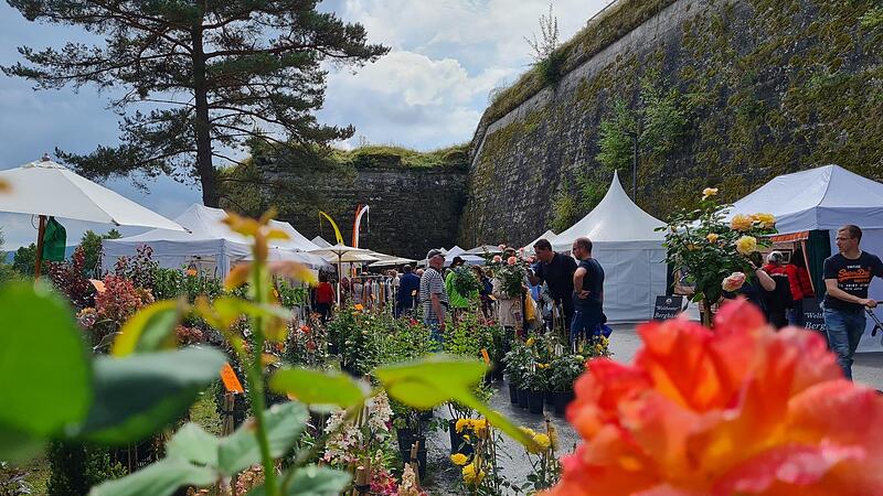 Die Rosenmesse kann in diesem Jahr wieder fast ohne Einschr&auml;nkungen stattfinden.