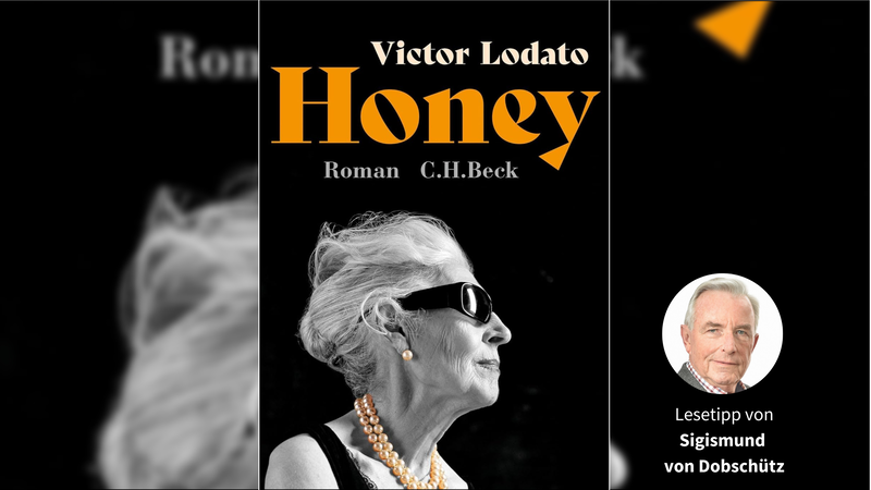 Das Cover von Victor Lodatos "Honey".