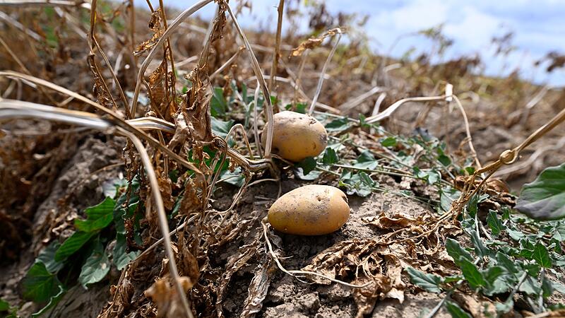 Wetter in Nordrhein-Westfalen - Landwirtschaft Wetter in Nordrhein-Westfalen - Landwirtschaft