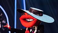 «The Masked Singer»