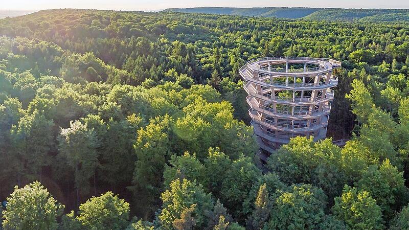 In die H&ouml;hen des Steigerwaldes kann man auf dem Baumwipfelpfad bei Ebrach emporsteigen.