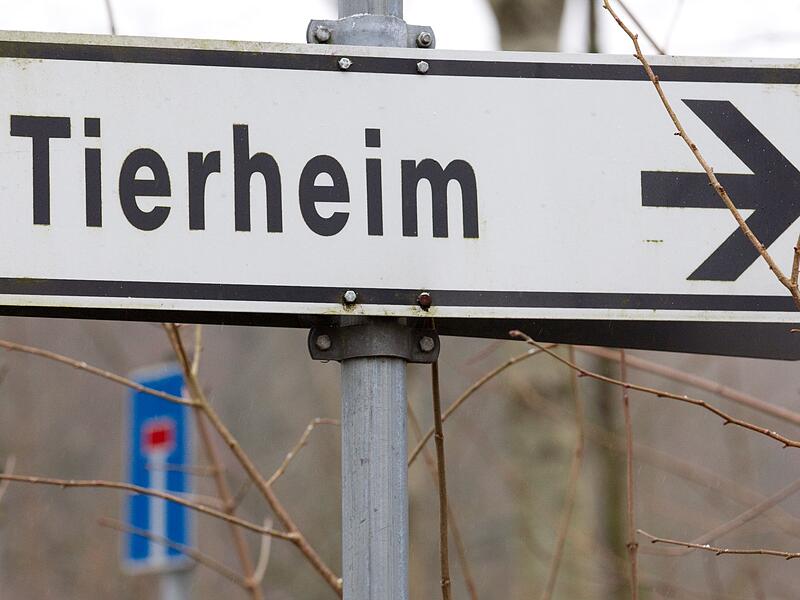 Tierheim Tierheim