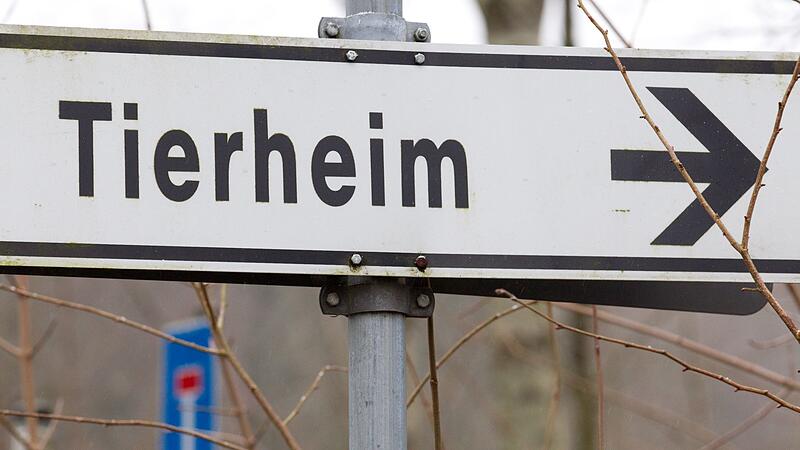 Tierheim Tierheim