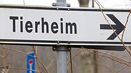 Tierheim Tierheim