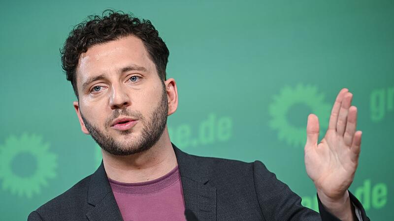 Grünen-Chef Grünen-Chef