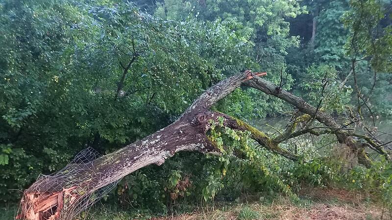 Durch das Unwetter sind einige Bäume umgestürzt.