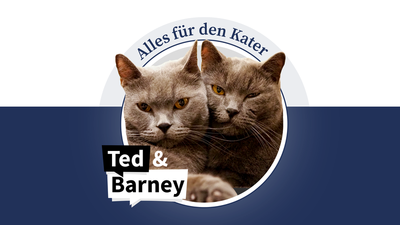 Ted & Barney schreiben alle zwei Wochen fürs Coburger Tageblatt