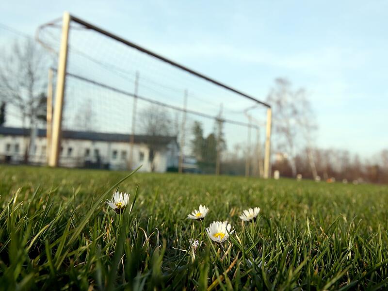 Ob feste oder mobile Tore: Vor jedem Spiel pr&uuml;ft der Schiedsrichter die Standfestigkeit.