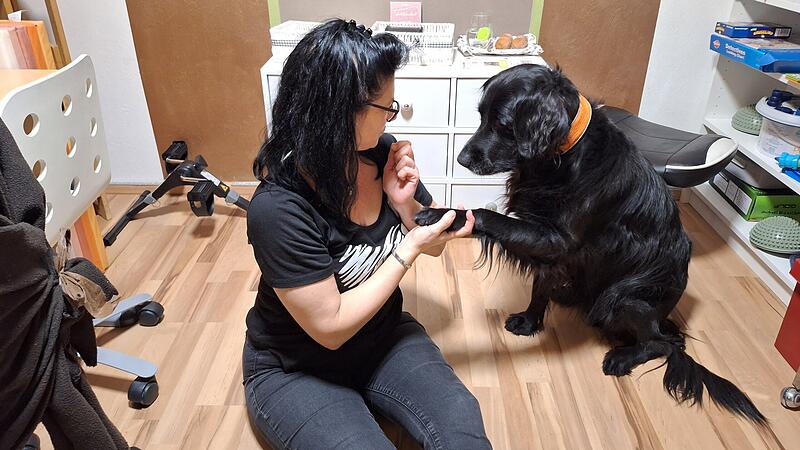 Manuela Schacklies mit Hund NikoForchheim & Fr&auml;nkische Schweiz