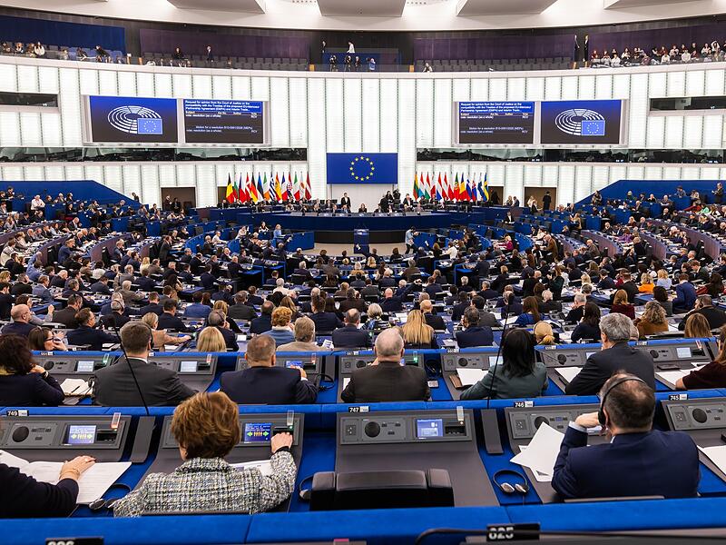 Plenarsitzung des Europ&auml;ischen Parlaments