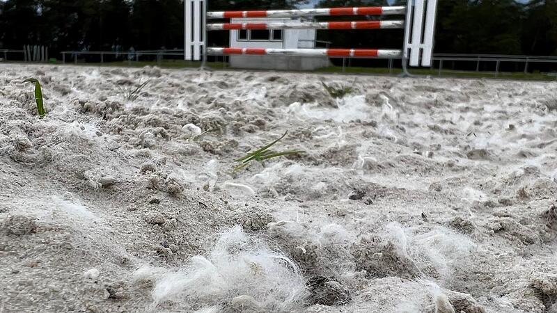Wie Baumwollfetzen liegen die PET-Fasern teilweise auf dem Reitplatz &bdquo;Auf der Steige&ldquo; oberhalb von Sulzthal.