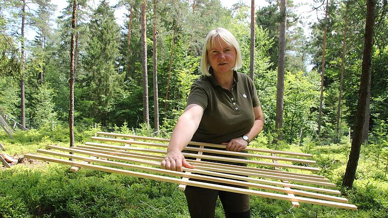 Stadtf&ouml;rsterin Carmen Hombach k&uuml;mmert sich mit ihren Mitarbeitern um die Waldgebiete im Besitz der Stadt Kulmbach.