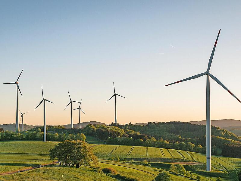 Beim Umweltausschuss hat der Landkreis vorgestellt, welche Ma&szlig;nahmen zum Thema Klimaschutz geplant sind. Neben erneuerbaren Energien spielen dabei auch die Umgestaltung von Fl&auml;chen und die Pflanzung neuer B&auml;ume eine Rolle. (Symbolbild)