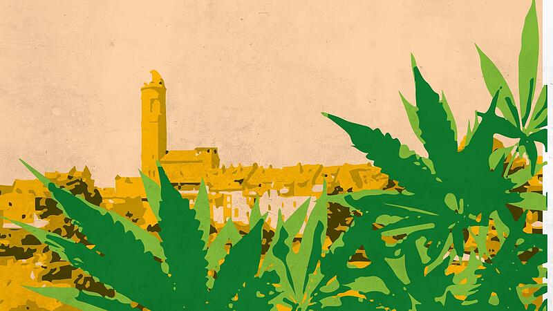 Die G&auml;rtnerstadt Bamberg sei bestens geeignet f&uuml;r den Cannabis-Anbau, sagt der hiesige Hanfverband. Was der Verein am aktuellen Gesetzesentwurf zur Cannabis-Legalisierung kritisiert.