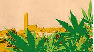 Die Gärtnerstadt Bamberg sei bestens geeignet für den Cannabis-Anbau, sagt der hiesige Hanfverband. Was der Verein am aktuellen Gesetzesentwurf zur Cannabis-Legalisierung kritisiert. Die Gärtnerstadt Bamberg sei bestens geeignet für den Cannabis-Anbau, sagt der hiesige Hanfverband. Was der Verein am aktuellen Gesetzesentwurf zur Cannabis-Legalisierung kritisiert.