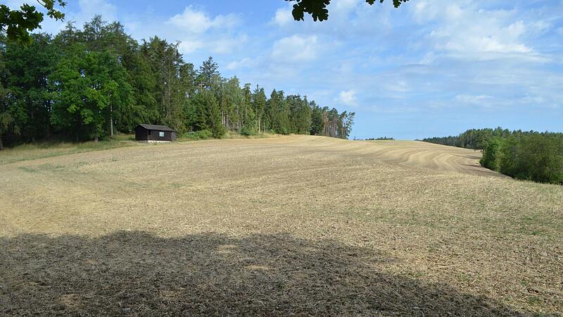 Bis zum Horizont und weiter sollen auf dem Berg zwischen Fornbach und Weißenbrunn Solarfelder Rödental seinen Klimazielen näherbringen.