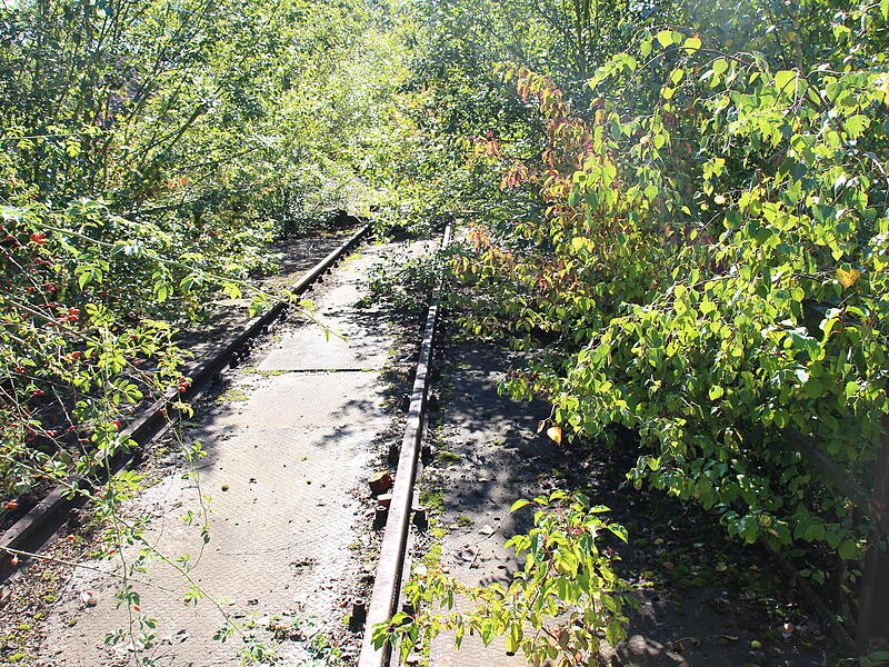 Lost Place - der Alte Lokschuppen in CoburgLost Place - der Alte Lokschuppen in Coburg Lost Place - der Alte Lokschuppen in Coburg
