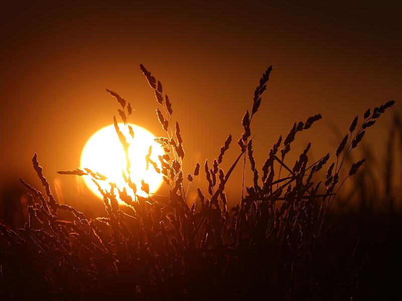 Sommerliches Wetter - Bayern Sommerliches Wetter - Bayern