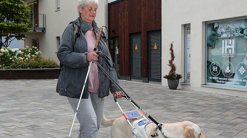Elisbabeth Seemüller wird von ihrem Blindenführhund Ofza durch Bamberg gelotst. Elisbabeth Seemüller wird von ihrem Blindenführhund Ofza durch Bamberg gelotst.