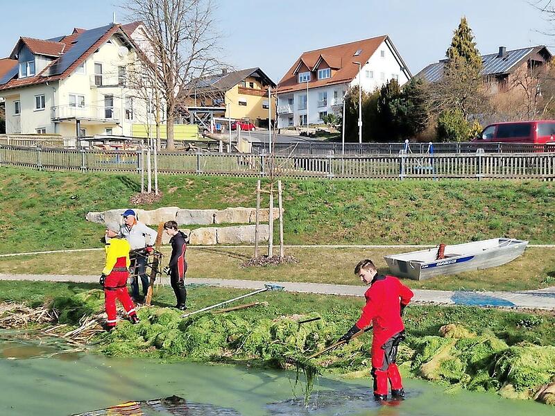 Kurioser Aktionstag: Eine Glosse zum Tag der Minzschokolade
