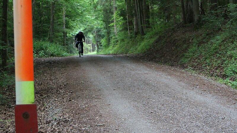 Der Forstweg von Bad Br&uuml;ckenau zum Gewerbegebiet Buchrasen wir gerne als Rad- und Fu&szlig;weg genutzt.