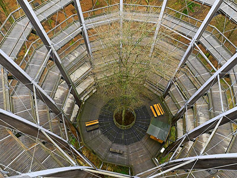 Aussichtsturm Baumwipfelpfad Steigerwald