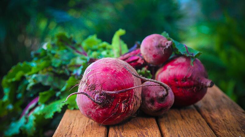 Rote Beete - Jupps Gartentipps
