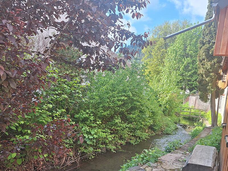 Leserfotos: So sch&ouml;n ist der Sommeranfang im FrankenwaldLeserfotos: So sch&ouml;n ist der Sommeranfang im Frankenwald