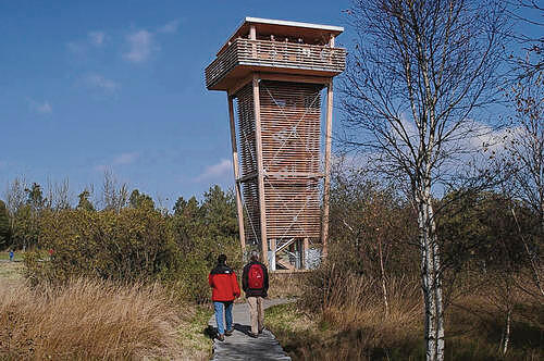 Neue Aussichten auf das Schwarze Moor