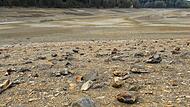 Der Ellertsh&auml;user See ist planm&auml;&szlig;ig trocken wegen Bauarbeiten. Aber so sieht es inzwischen an vielen Gew&auml;ssern in der Region aus.