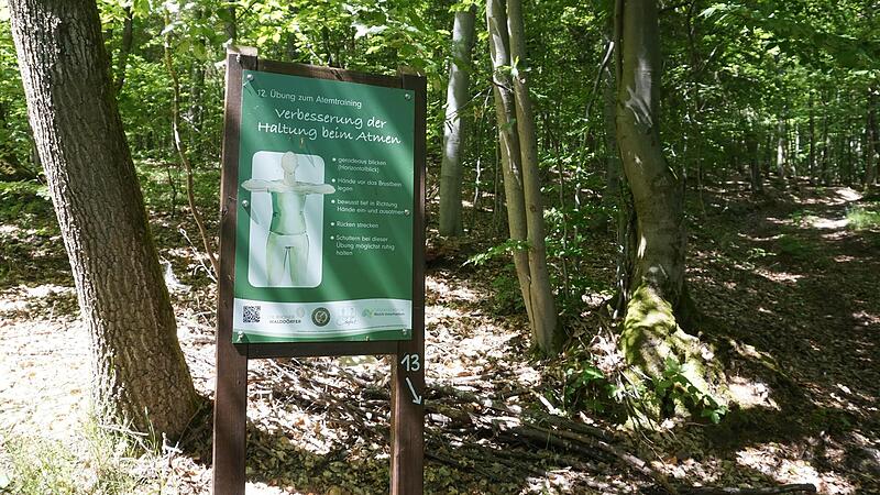 Zeichnungen verdeutlichen die &Uuml;bungen.