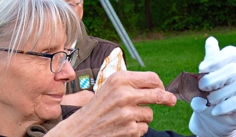 Ute Gellenthien pr&auml;sentiert den Teilnehmern die Fl&uuml;gel eine Wasserfledermaus. Britta Schnake