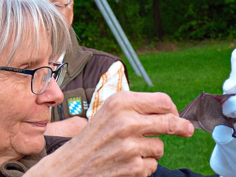 Ute Gellenthien präsentiert den Teilnehmern die Flügel eine Wasserfledermaus. Britta Schnake Ute Gellenthien präsentiert den Teilnehmern die Flügel eine Wasserfledermaus. Britta Schnake