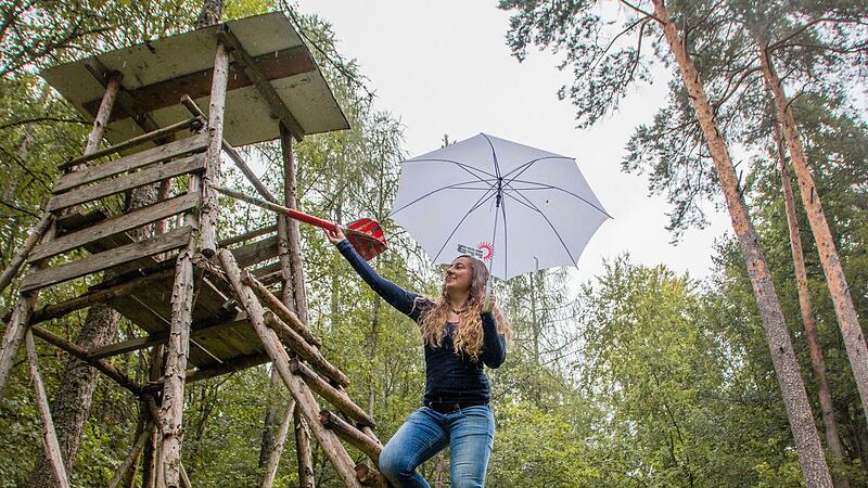 Ein paar Meter von diesem Hochsitz entfernt, ist der Redaktionspfeil eingeschlagen  -mitten ins Gestr&uuml;pp.