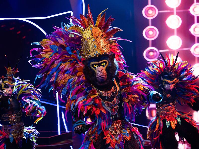 „The Masked Singer“ „The Masked Singer“