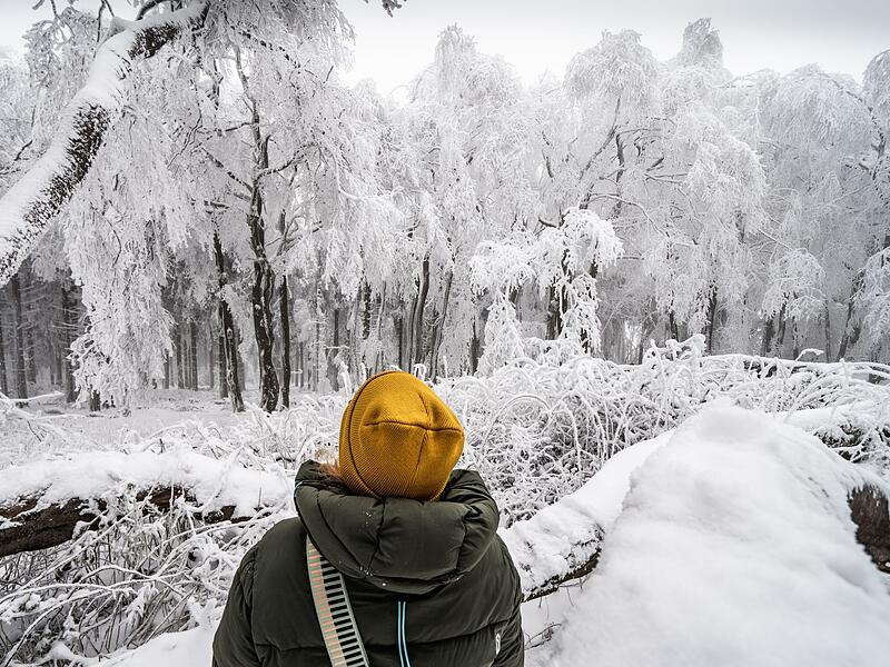 Eine Frau steht vor verschneiten B&auml;umen