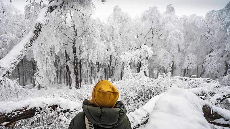 Eine Frau steht vor verschneiten B&auml;umen