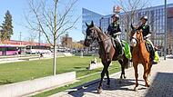 Reiterstaffel im Brennpunktviertel im Einsatz