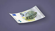Neue Euro-Scheine: fränkische Motive Motiv 5-Euro-Schein: drei im Weggla