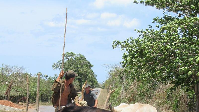 Umland von Viñales