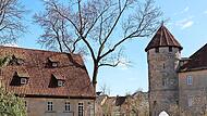 Am Schlosspark findet das Rahmenprogramm beim „Tag der offenen Gartentür“ statt.