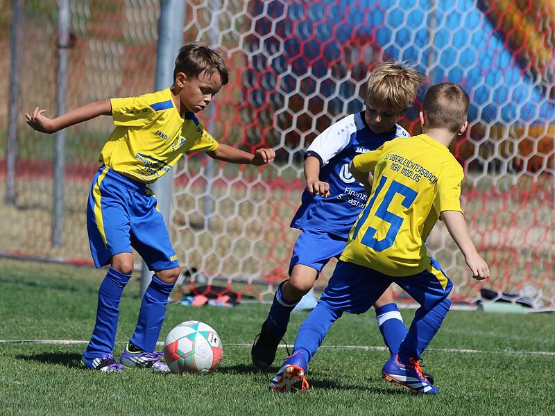 Mettermichcup in Schondra Mettermichcup in Schondra