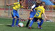 Mettermichcup in Schondra
