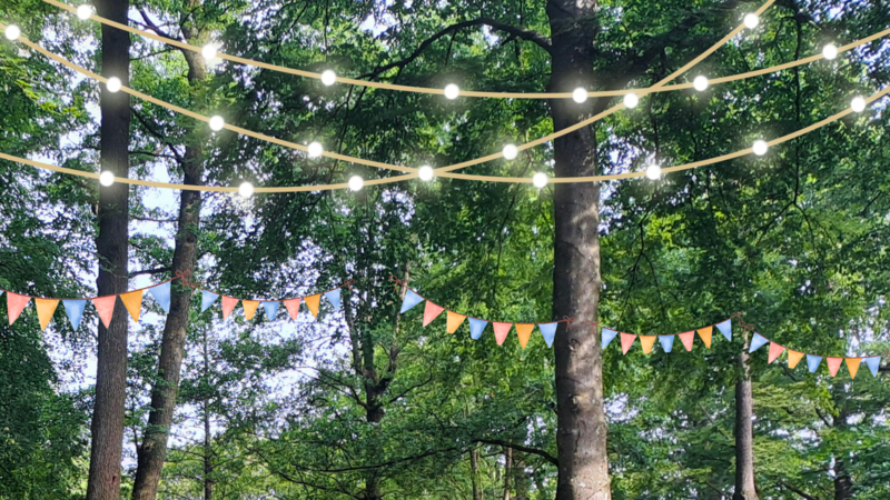 Stadtparkfest EbermannstadtForchheim & Fr&auml;nkische Schweiz