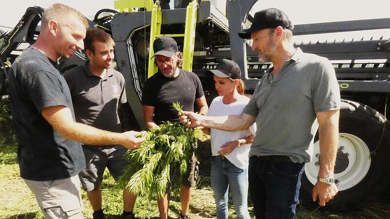 Mark Töpfer, Katrin Reinl und Ferdinando Reinl (von rechts) begutachten mit den beiden Erntetechnikern aus Belgien die Qualität des Nutzhanfs. Mark Töpfer, Katrin Reinl und Ferdinando Reinl (von rechts) begutachten mit den beiden Erntetechnikern aus Belgien die Qualität des Nutzhanfs.