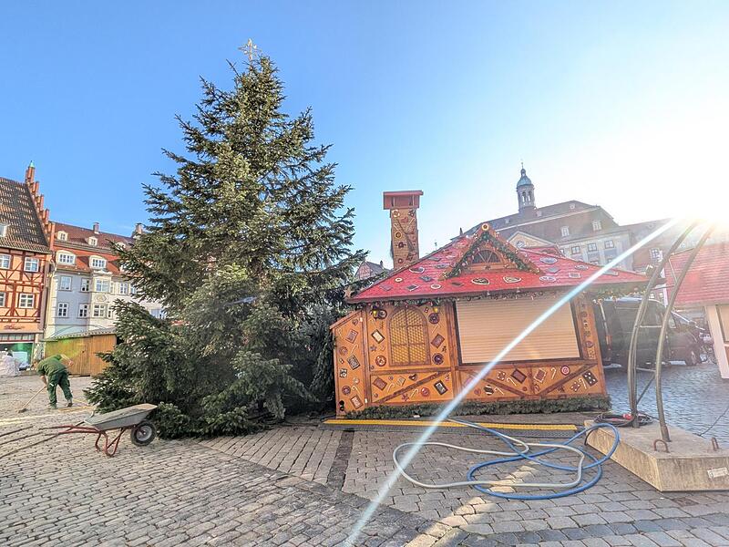 Der Weihnachtsbaum 2025 steht.