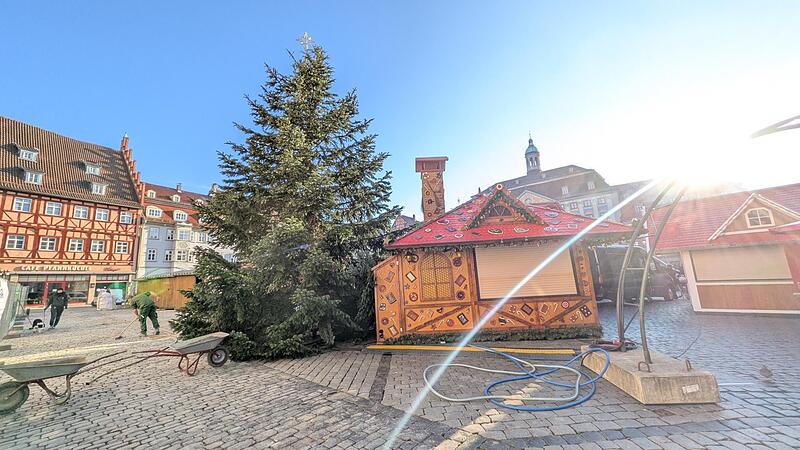 Der Weihnachtsbaum 2025 steht.