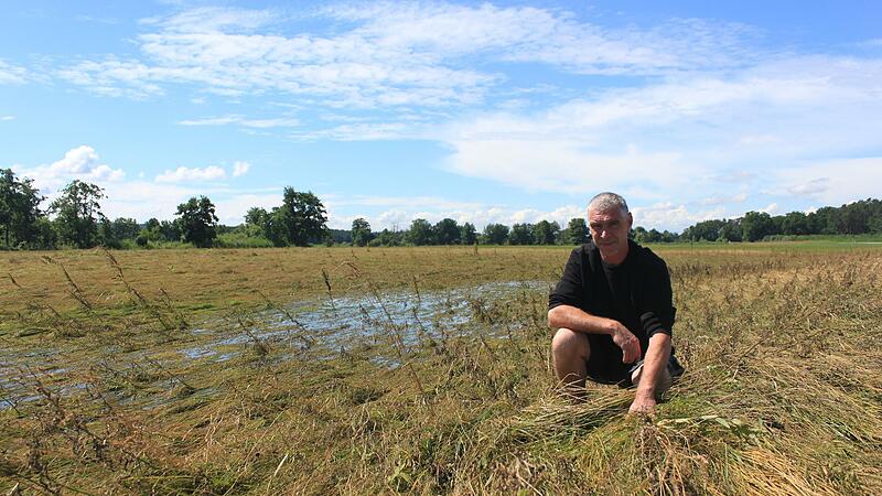Zweieinhalb Hektar umfasst die Wiese von Markus Amtmann in Haid.  Ernten kann er das Gras wohl nur noch mit gro&szlig;er M&uuml;he.