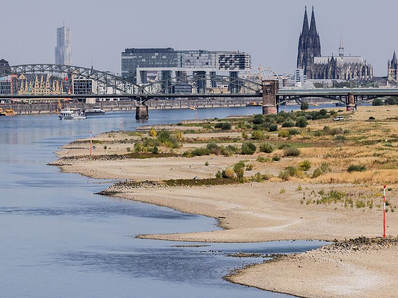 Niedrigwasser am Rhein - Köln Niedrigwasser am Rhein - Köln
