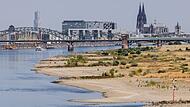 Niedrigwasser am Rhein - K&ouml;ln